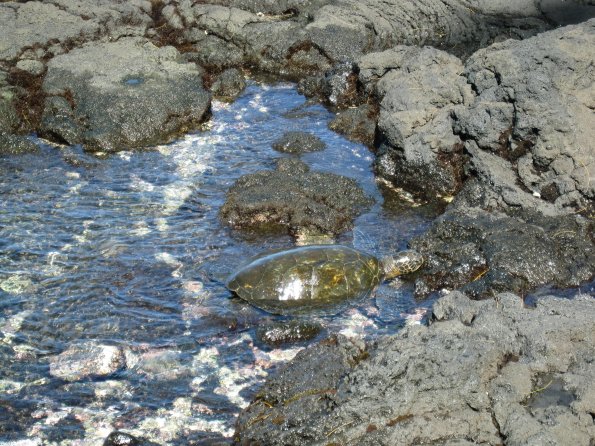 Hawaii_Cruise_2013_156