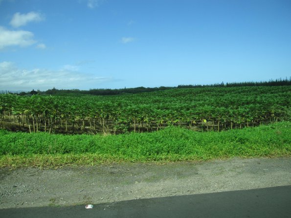 Hawaii_Cruise_2013_174