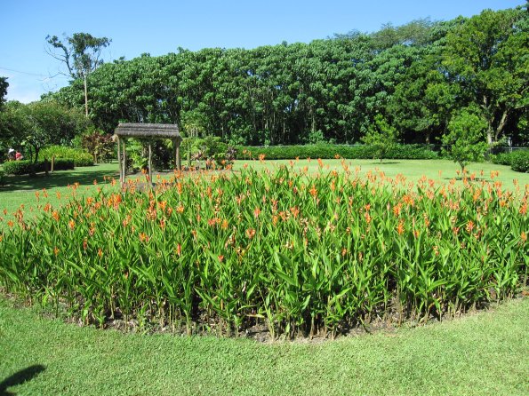 Hawaii_Cruise_2013_177