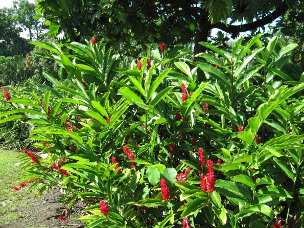 Hawaii_Cruise_2013_180