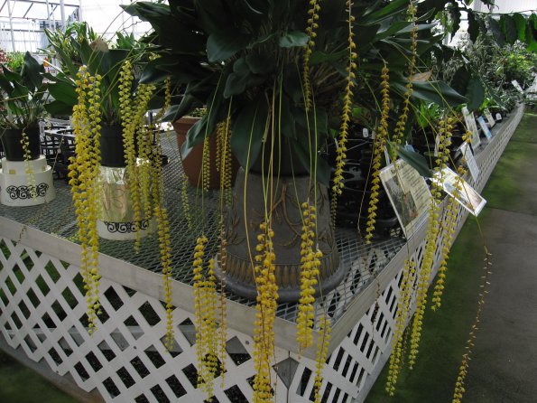 Hawaii_Cruise_2013_195