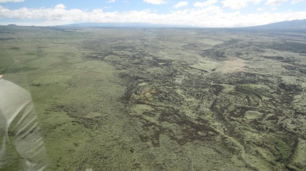 07 - 019 -  IMG_0881