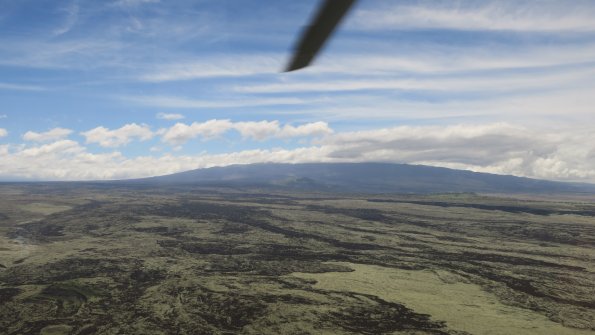 07 - 020 -  IMG_0539