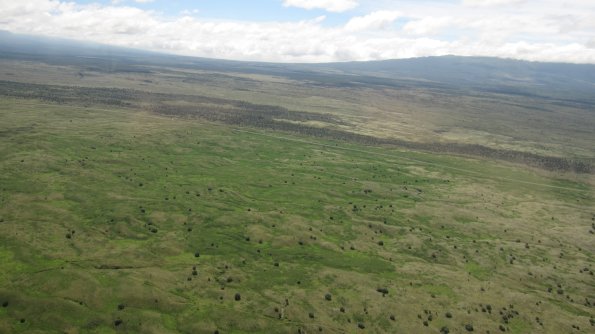 07 - 021 -  IMG_0883