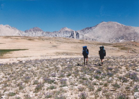 Bighorn_Plateau_cropped