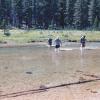 fording_Evolution_Creek_cropped