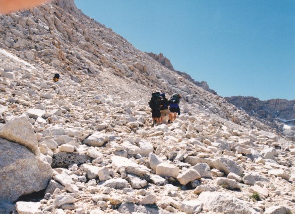 nearing_Whitney_cropped