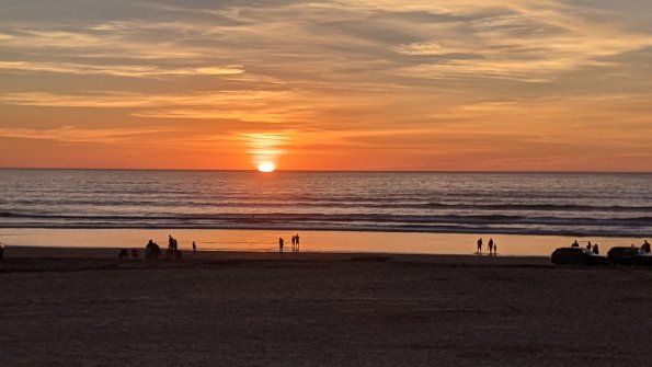 PXL_20211126_005127786