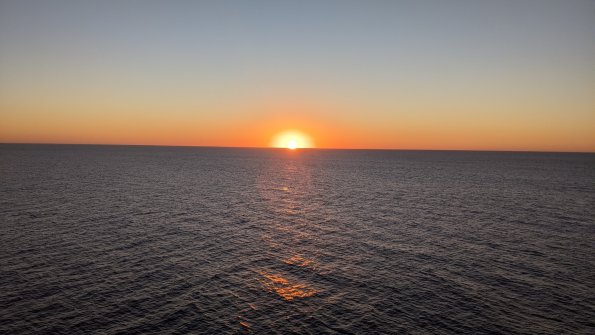 PXL_20211129_004352626