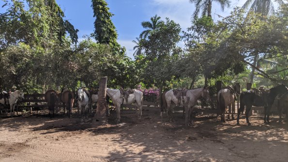 PXL_20211201_171908237