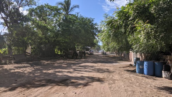 PXL_20211201_171918571