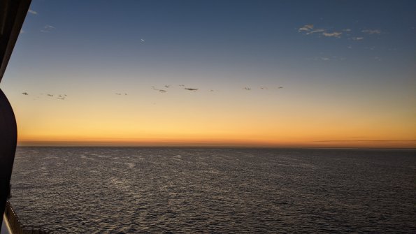 PXL_20211202_132105986