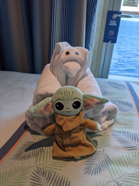 PXL_20211129_195336604