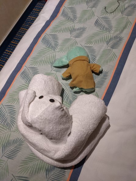 PXL_20211130_062542309