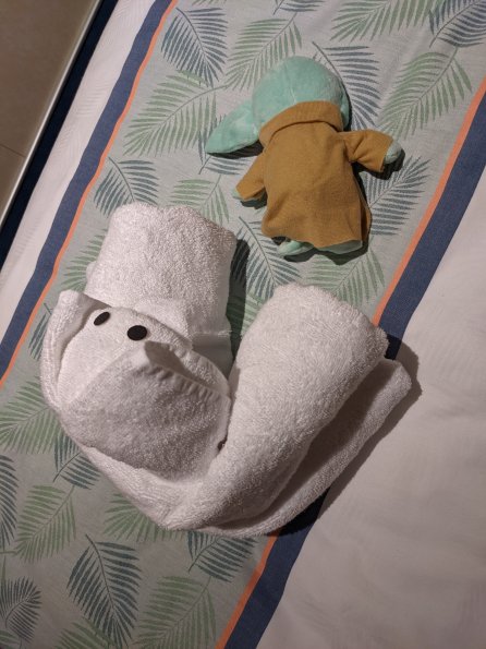 PXL_20211130_062549887