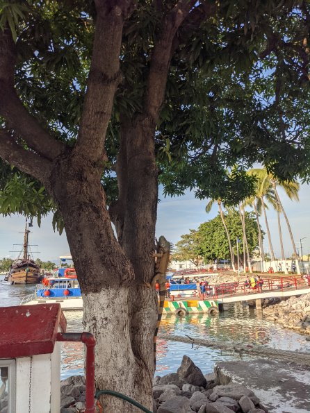 PXL_20211130_220621383