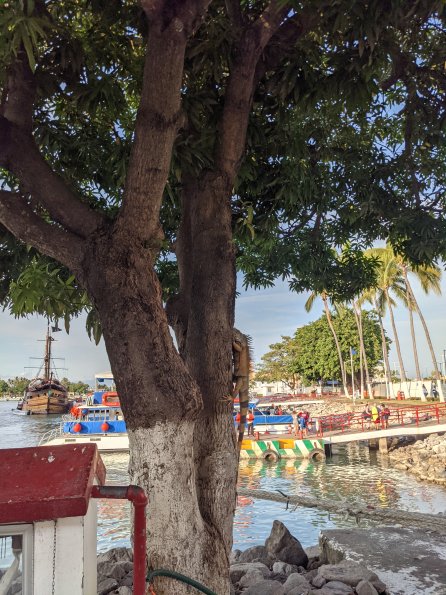 PXL_20211130_220623124