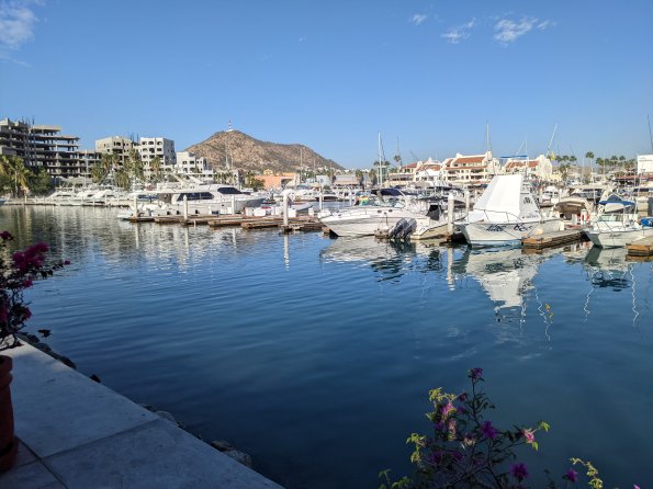 PXL_20211202_154951980