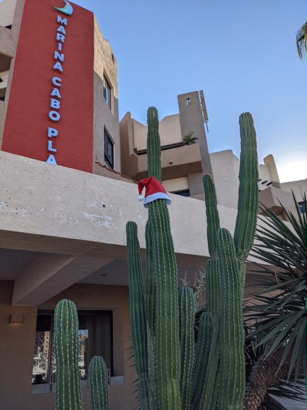 PXL_20211202_155220427