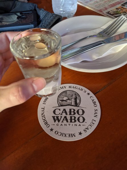 PXL_20211202_163806392