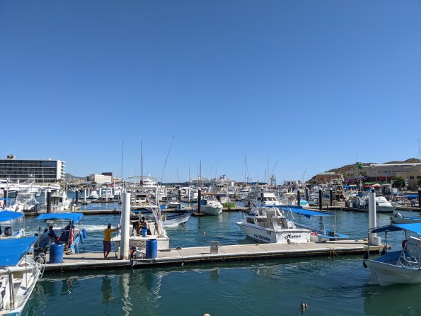 PXL_20211202_175509399