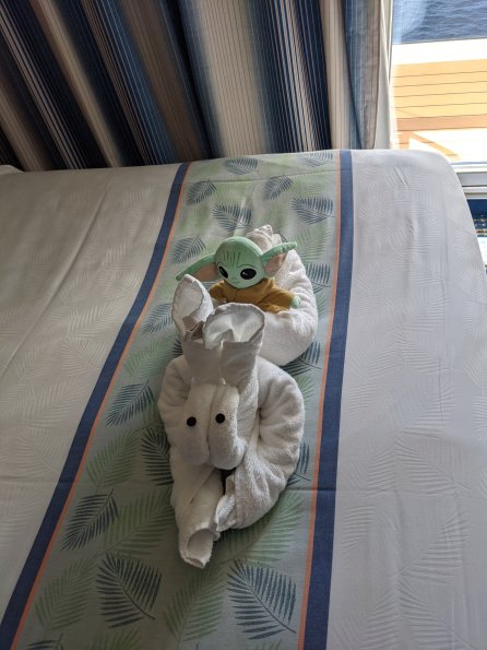 PXL_20211202_182806430