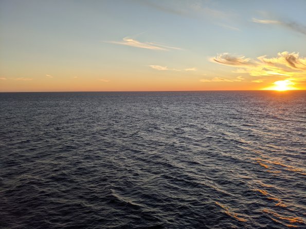 PXL_20211203_003058576