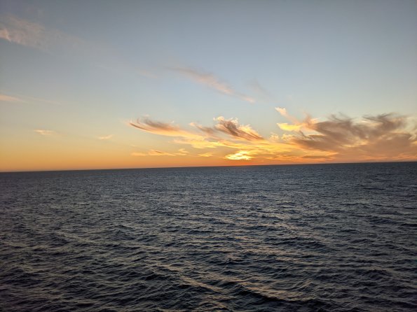 PXL_20211203_003500884