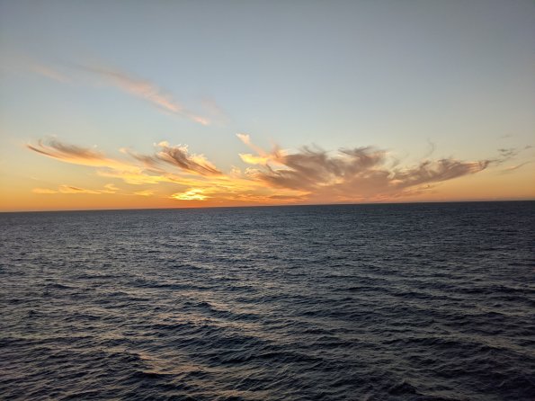 PXL_20211203_003521237