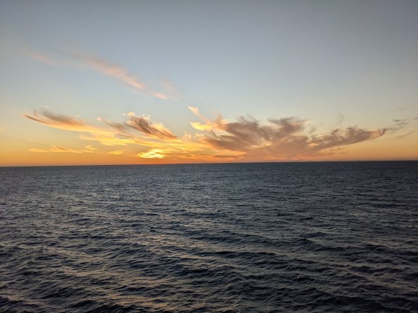 PXL_20211203_003524925