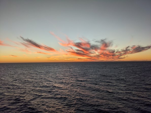 PXL_20211203_004524236