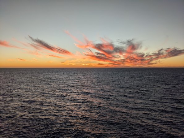 PXL_20211203_004525899