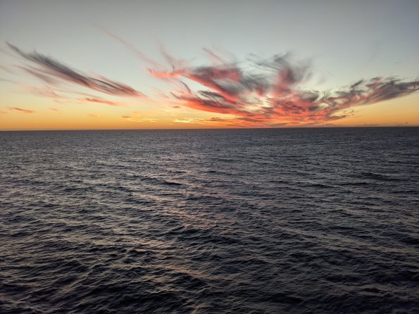 PXL_20211203_004815293