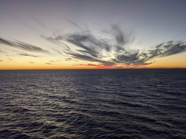 PXL_20211203_005442273