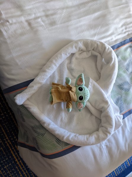 PXL_20211203_180123279