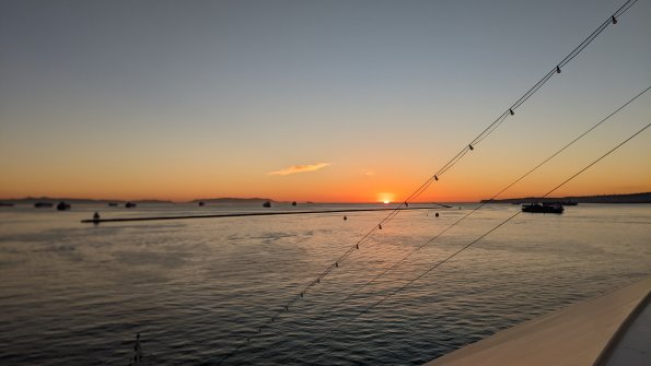 PXL_20211128_004532696