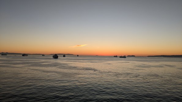 PXL_20211128_005053309