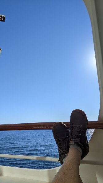 PXL_20211128_222643636