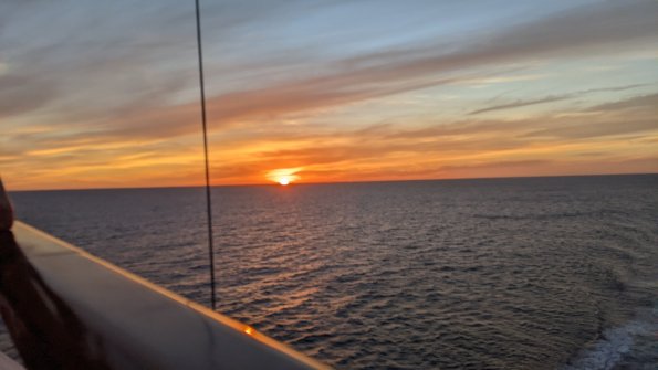 PXL_20211130_003140579