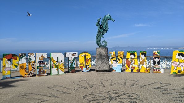 PXL_20211130_173849672