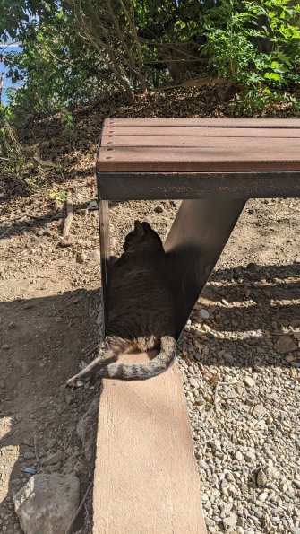 PXL_20211201_185840069