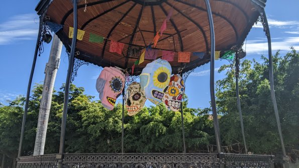 PXL_20211201_192621624