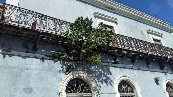 PXL_20211201_193330512