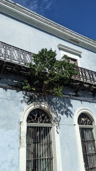 PXL_20211201_193332958