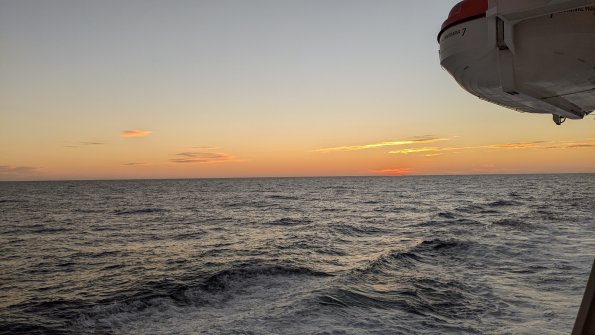 PXL_20211203_140759369